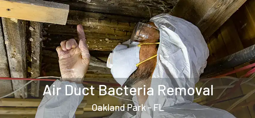 Air Duct Bacteria Removal Oakland Park - FL