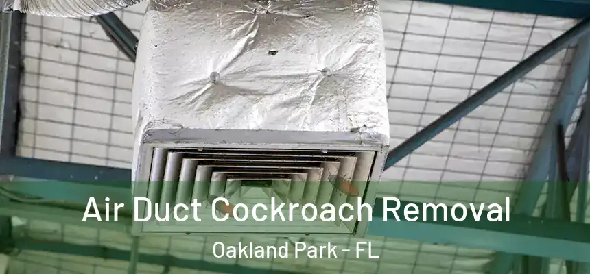 Air Duct Cockroach Removal Oakland Park - FL
