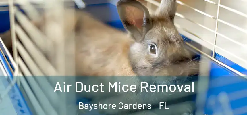  Air Duct Mice Removal Bayshore Gardens - FL