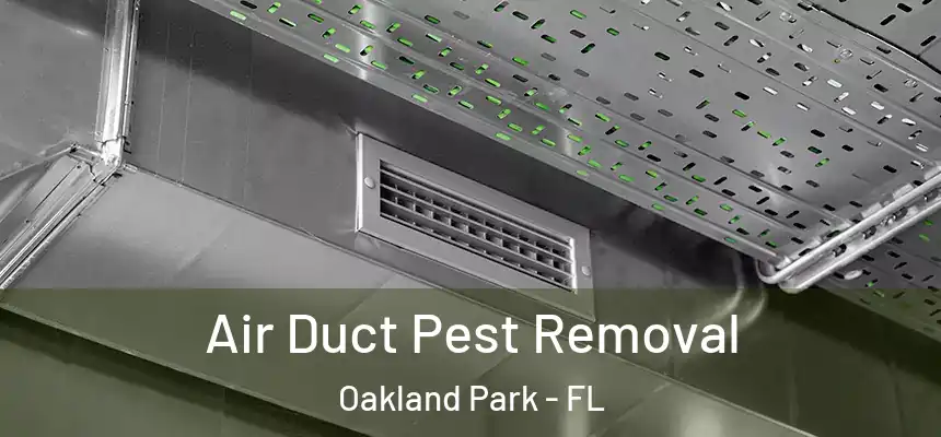Air Duct Pest Removal Oakland Park - FL