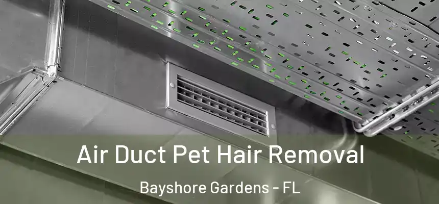 Air Duct Pet Hair Removal Bayshore Gardens - FL