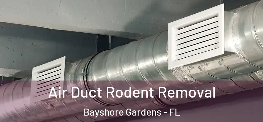 Air Duct Rodent Removal Bayshore Gardens - FL