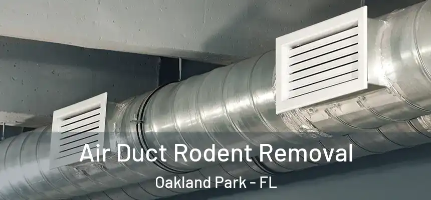 Air Duct Rodent Removal Oakland Park - FL