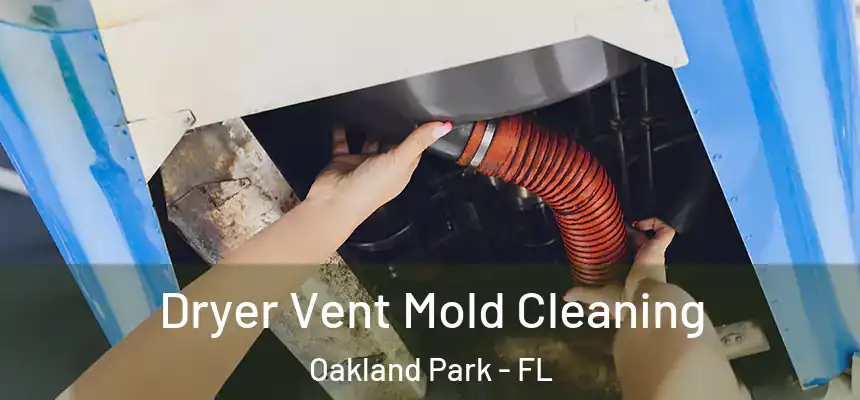 Dryer Vent Mold Cleaning Oakland Park - FL