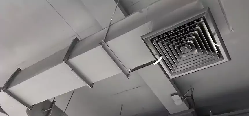 Restorative Allergy Relief Vent Cleaning – Coil, Blower & Housing Detail in Oakland Park