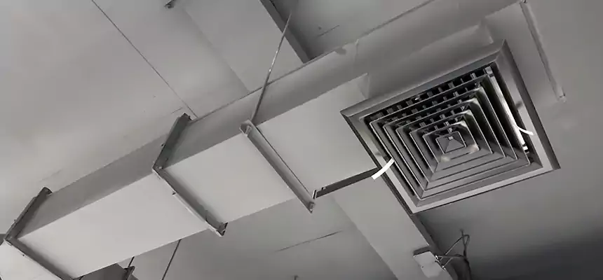 Our Rodent Droppings In Vents Services in Oakland Park, FL