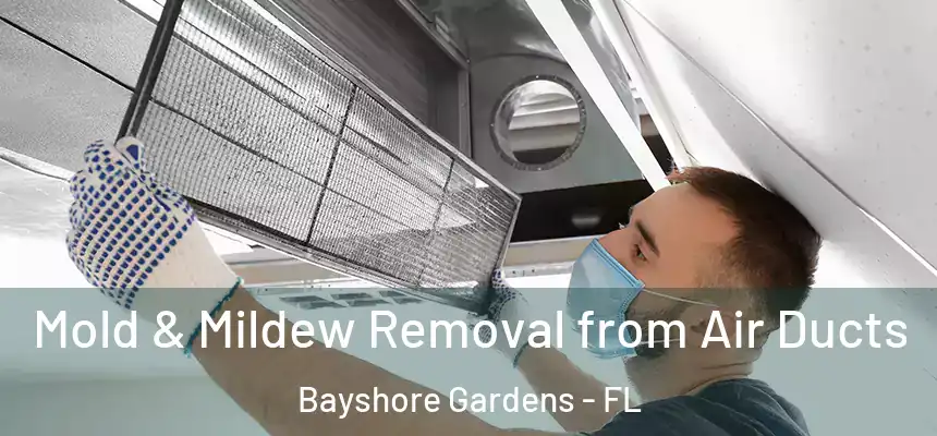 Mold & Mildew Removal from Air Ducts Bayshore Gardens - FL
