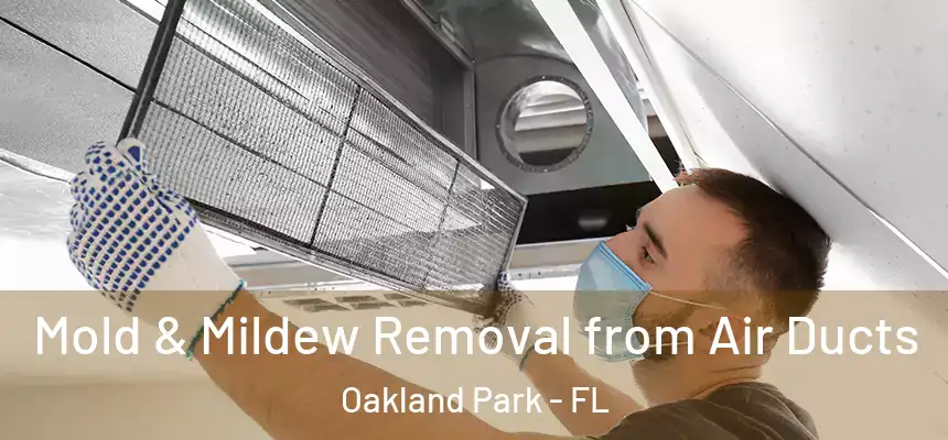 Mold & Mildew Removal from Air Ducts Oakland Park - FL