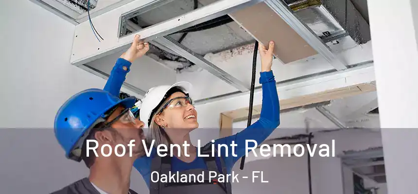 Roof Vent Lint Removal Oakland Park - FL