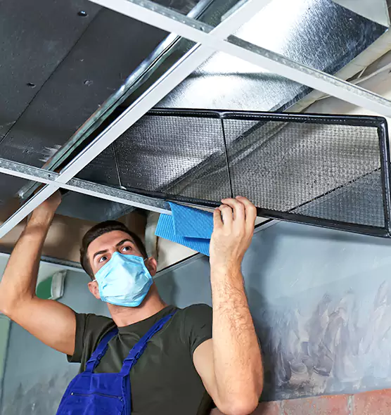 Professional Air Duct Pollen Cleaning in Oakland Park, FL