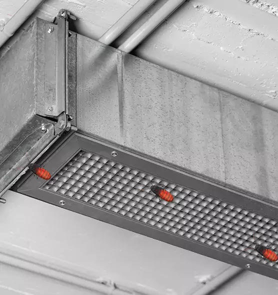 Affordable Insect Removal from Air Ducts in Oakland Park, FL