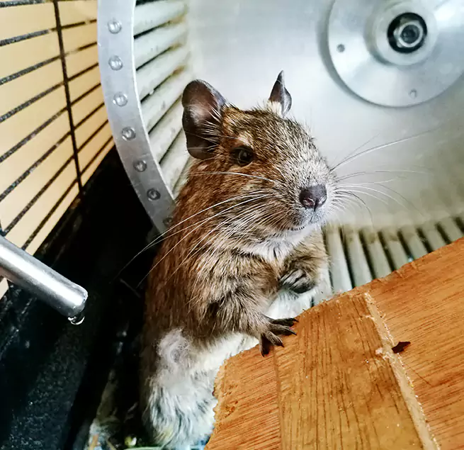 Why Homeowners & Businesses Trust Us Bayshore Gardens, FL