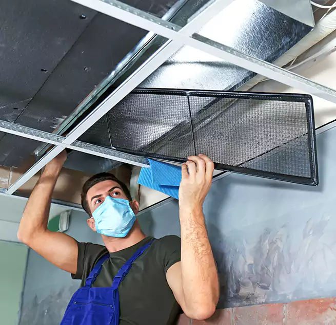 Why Homeowners Businesses Trust Us in Oakland Park, FL