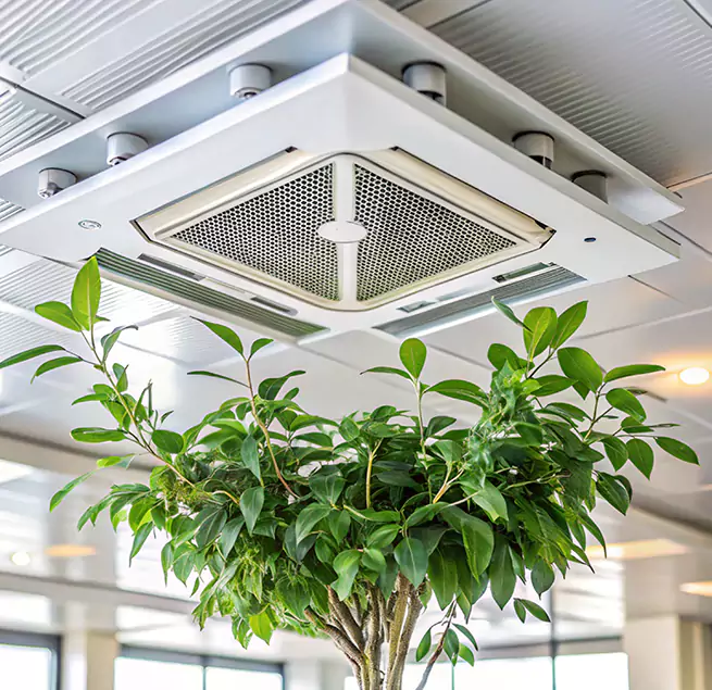 Why Homeowners & Businesses Trust Us in Oakland Park, FL?