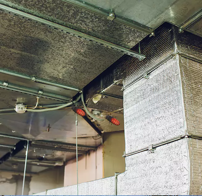 Why Homeowners & Businesses Trust Us Oakland Park, FL?