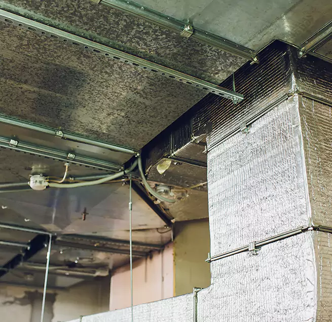 Why Homeowners & Businesses Trust Us in Oakland Park, FL?